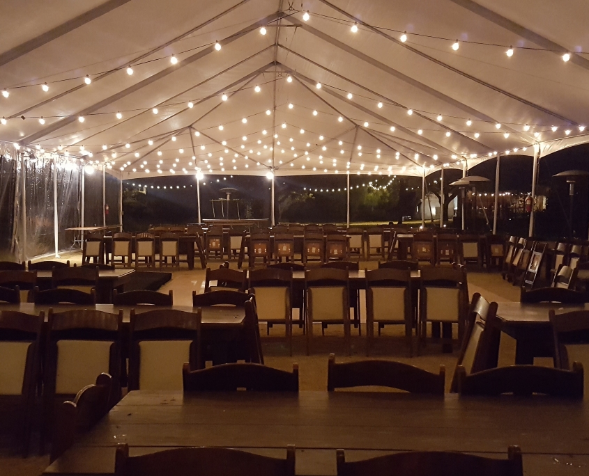 Backyard party lighting rental