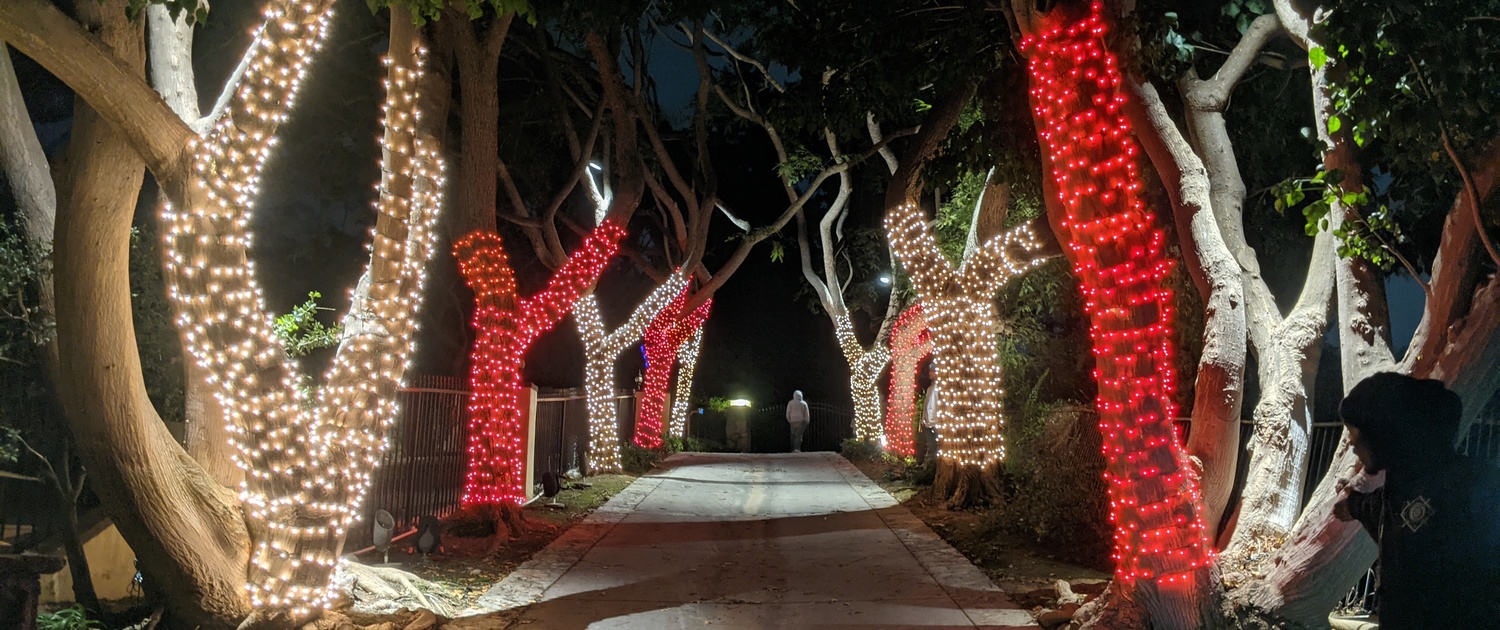 Residential holiday lighting services